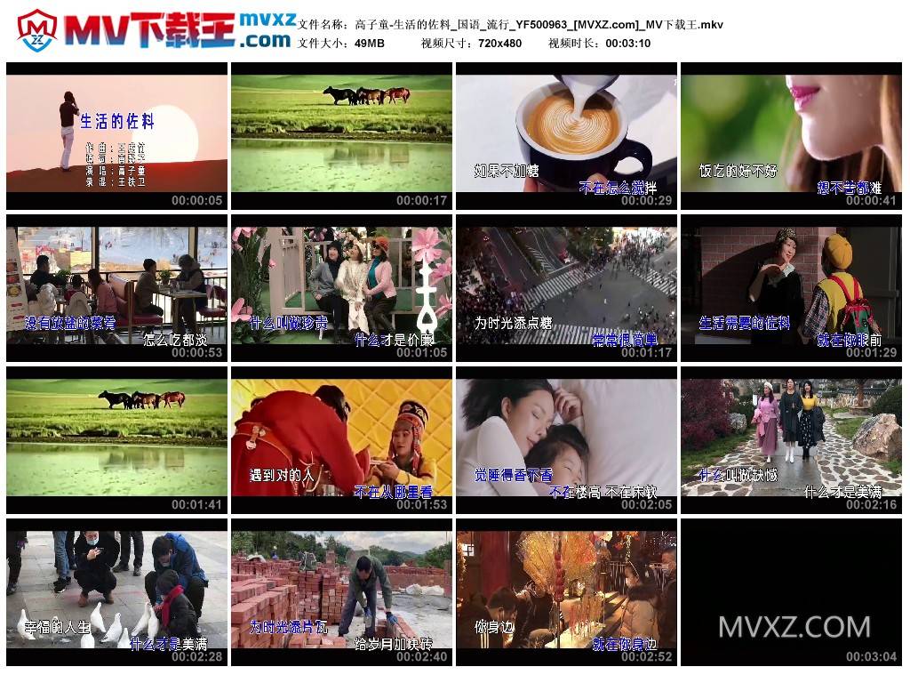 高子童-生活的佐料_国语_流行_YF500963